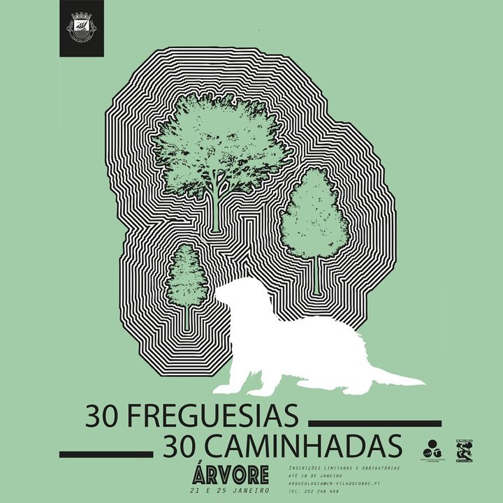 “Vila do Conde: 30 Freguesias – 30 Caminhadas” promove caminhadas na freguesia de Árvore