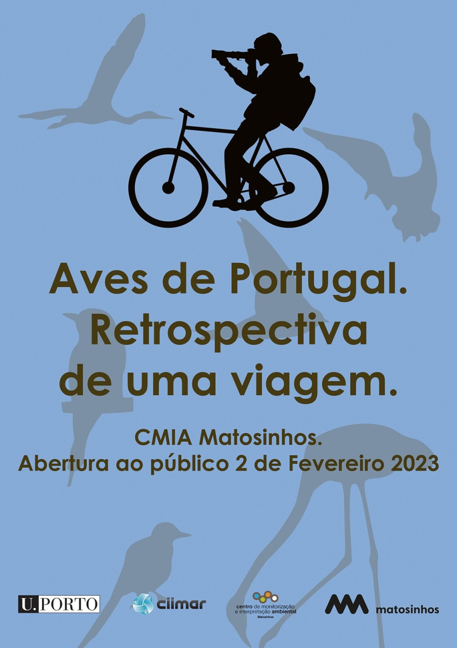 Aves de Portugal - Retrospetiva de uma viagem