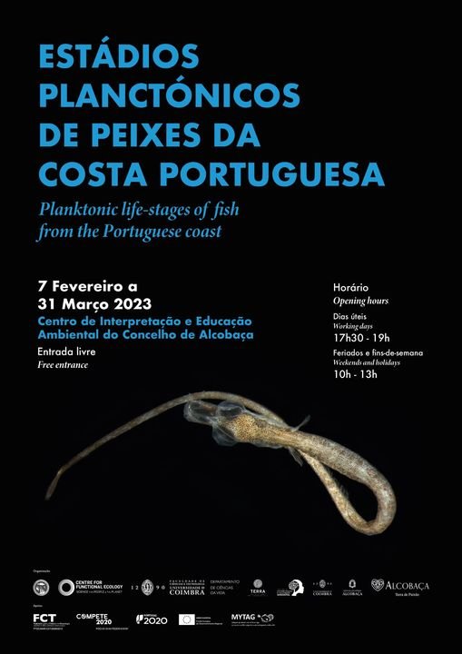 exposição :: Estádios planctónicos dos peixes da costa portuguesa