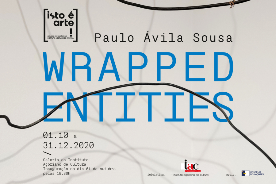 ISTO É ARTE! Exposição “Wrapped Entities” de Paulo Ávila Sousa