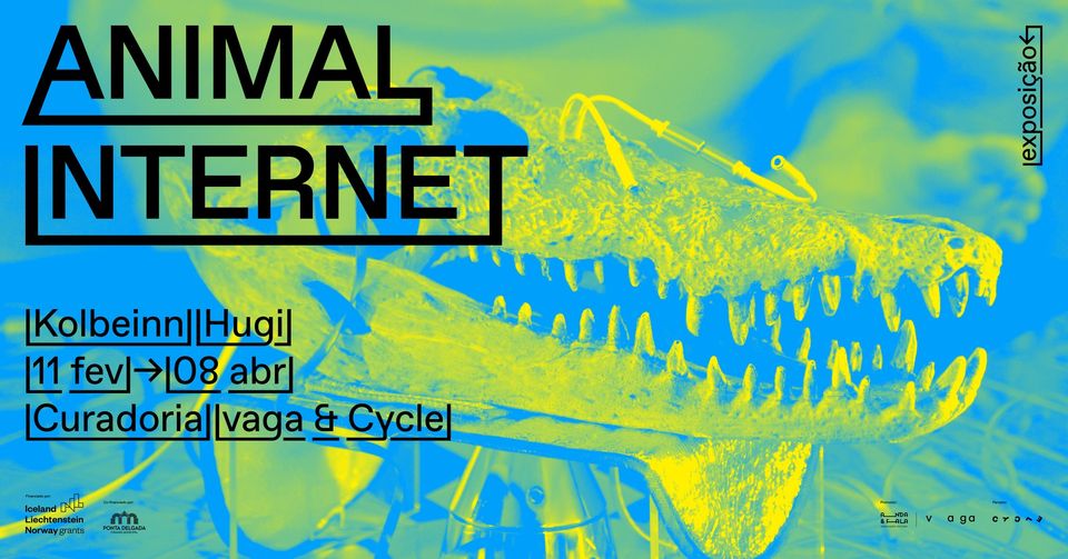 'Animal Internet', Kolbeinn Hugi