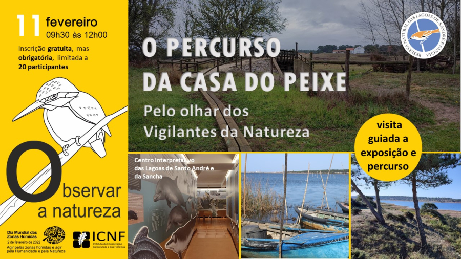 Observar a natureza – visita guiada à exposição do Centro de Interpretação das Lagoas e Santo André e Sancha e percurso da Casa do Peixe