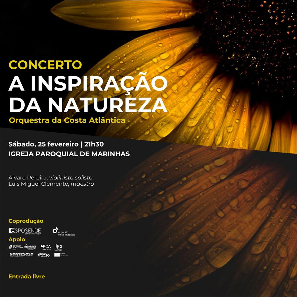 Concerto 'A inspiração da Natureza'