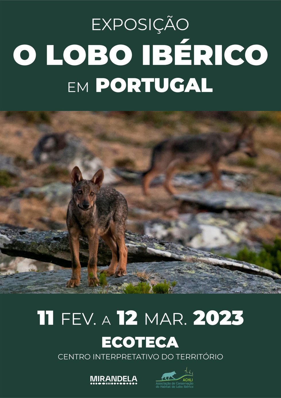 Exposição 'O Lobo Ibérico em Portugal'