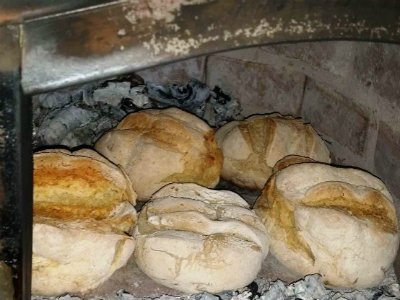 Fábrica de Pão - Visita à fábrica de Panificação da UPAL