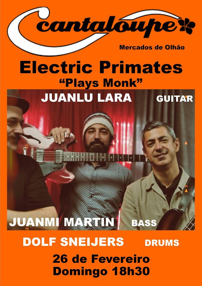 Electric Primates