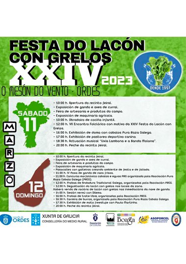 XXIV FESTA DO LACÓN CON GRELOS ORDES 2023