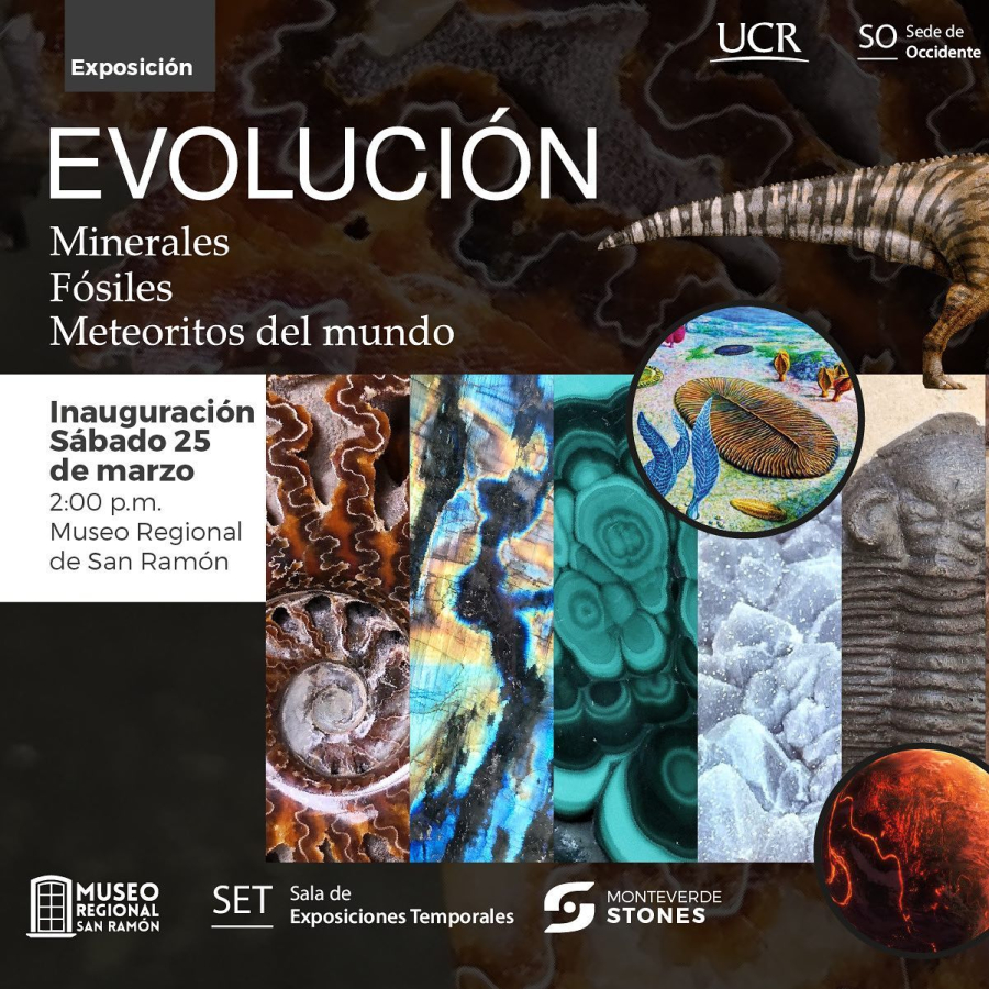 Exposición 'Evolución'