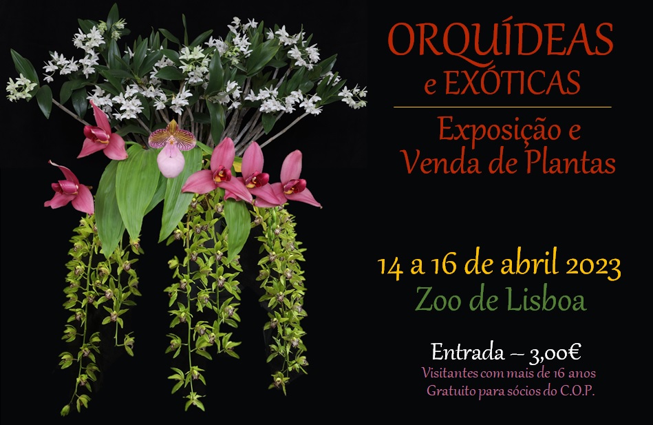 Exposição de Orquídeas e Plantas Exóticas