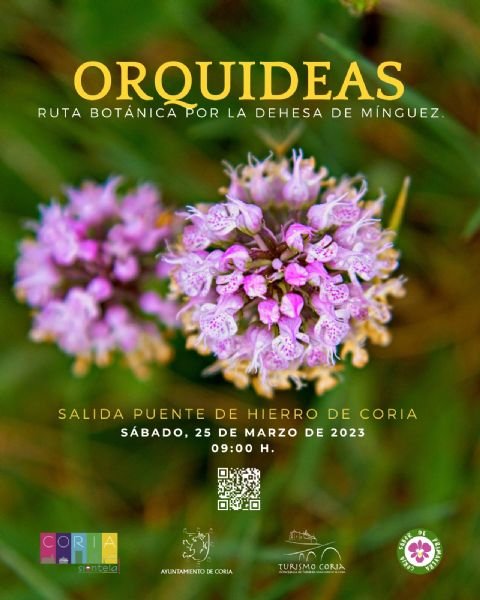 Ruta Botánica de las Orquídeas por la Dehesa de Mínguez