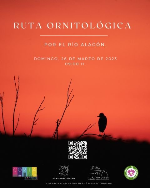 Ruta Ornitológica por el Río Alagón