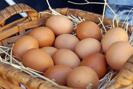 Festival Cultural e Gastronómico de Pêra do Moço “Quem nasceu primeiro, o ovo ou a galinha?” [Festivais de Cultura Popular]
