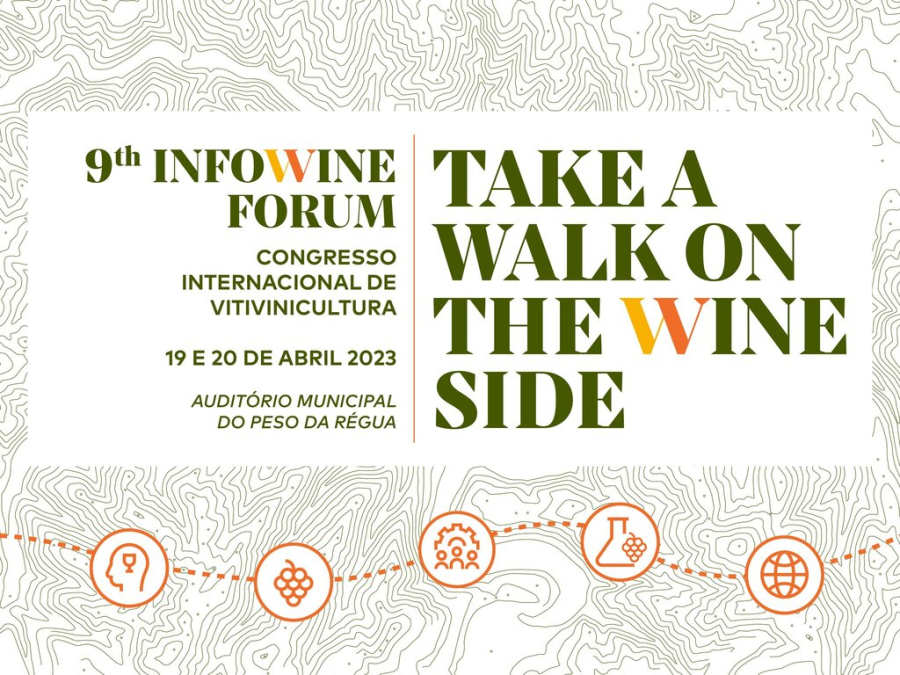 Take a Walk on the Wine Side | Infowineforum powered by VINIDEAs  VINHA E VINHO EM DEBATE NA RÉGUA