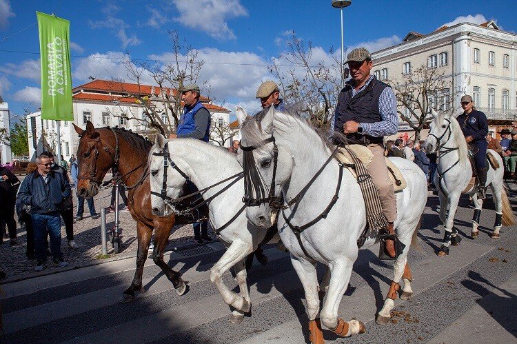 XXI Romaria a Cavalo Moita  – Viana do Alentejo