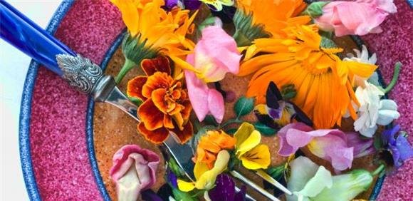 Quinta do Peral - Vem aprender a fazer uma colorida 'Salada de Flores'
