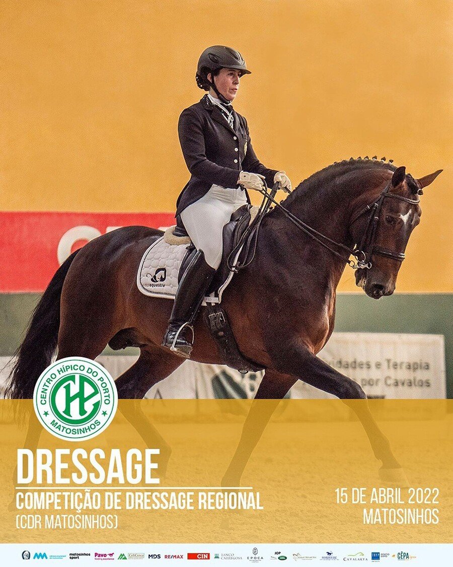 Dressage