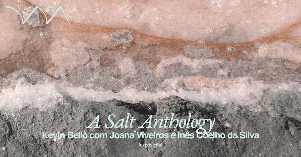 A Salt Anthology ❉ Kevin Bellò + Joana Viveiros e Inês Coelho da Silva