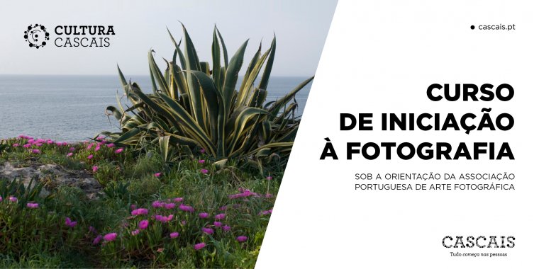 CURSO DE INICIAÇÃO À FOTOGRAFIA  Sob a orientação da Associação Portuguesa de Arte Fotográfica