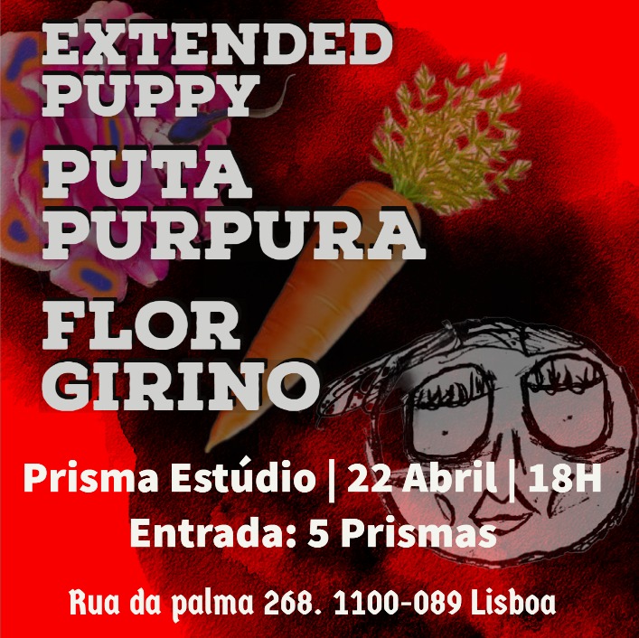 TNC Extended Puppy, Puta Purpura & Flor Girino (Concert)