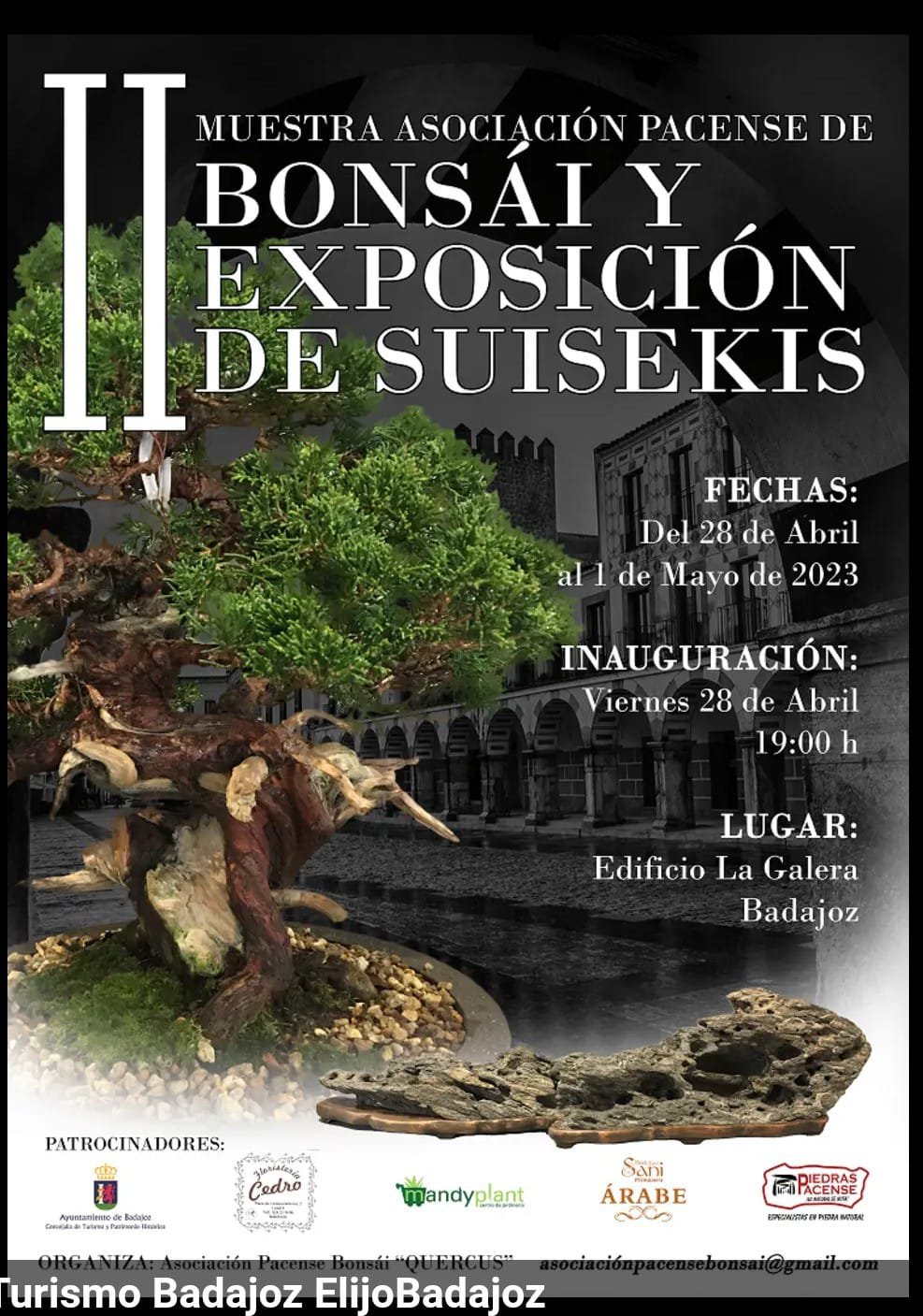 II Bonsái y exposición de suisekis