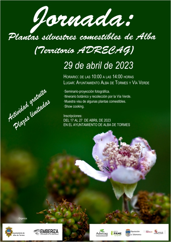 Jornada gratuita plantas silvestres comestibles de Alba de Tormes