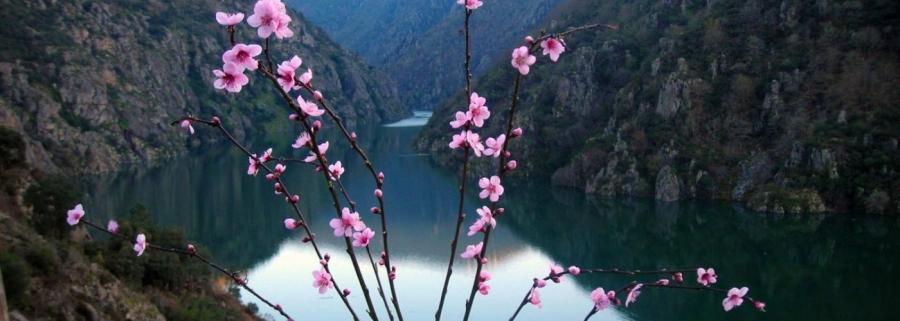 Ribeira Sacra: otras miradas sobre el vino.