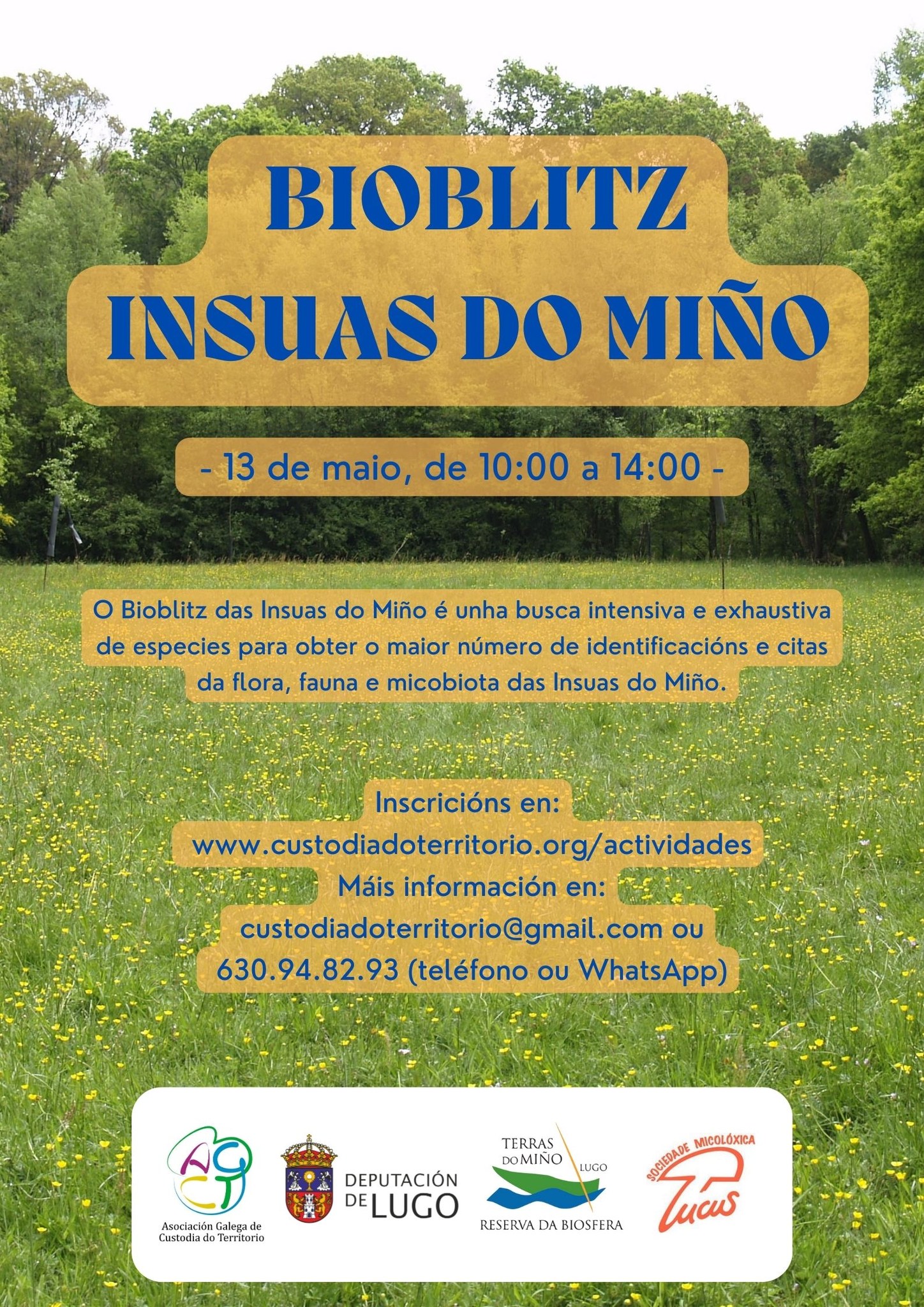 BioBlitz (BioLóstrego) nas Insuas do Miño