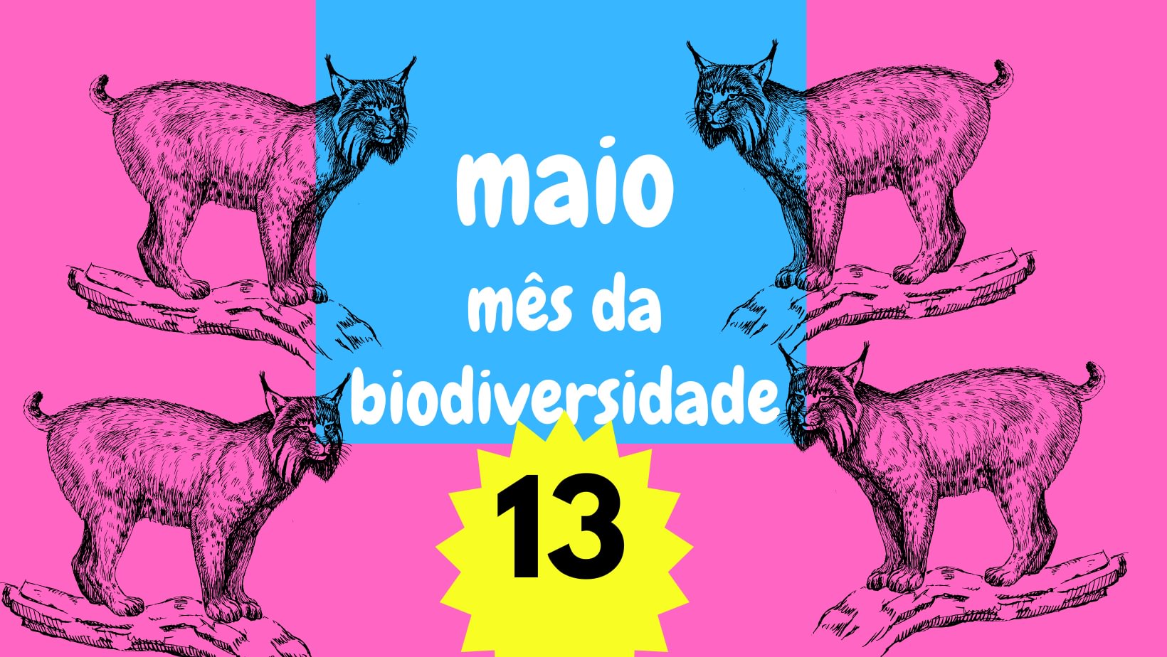 Maio - mês da biodiversidade: carnívoros