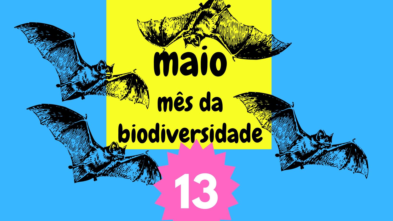 Maio - mês da biodiversidade: morcegos