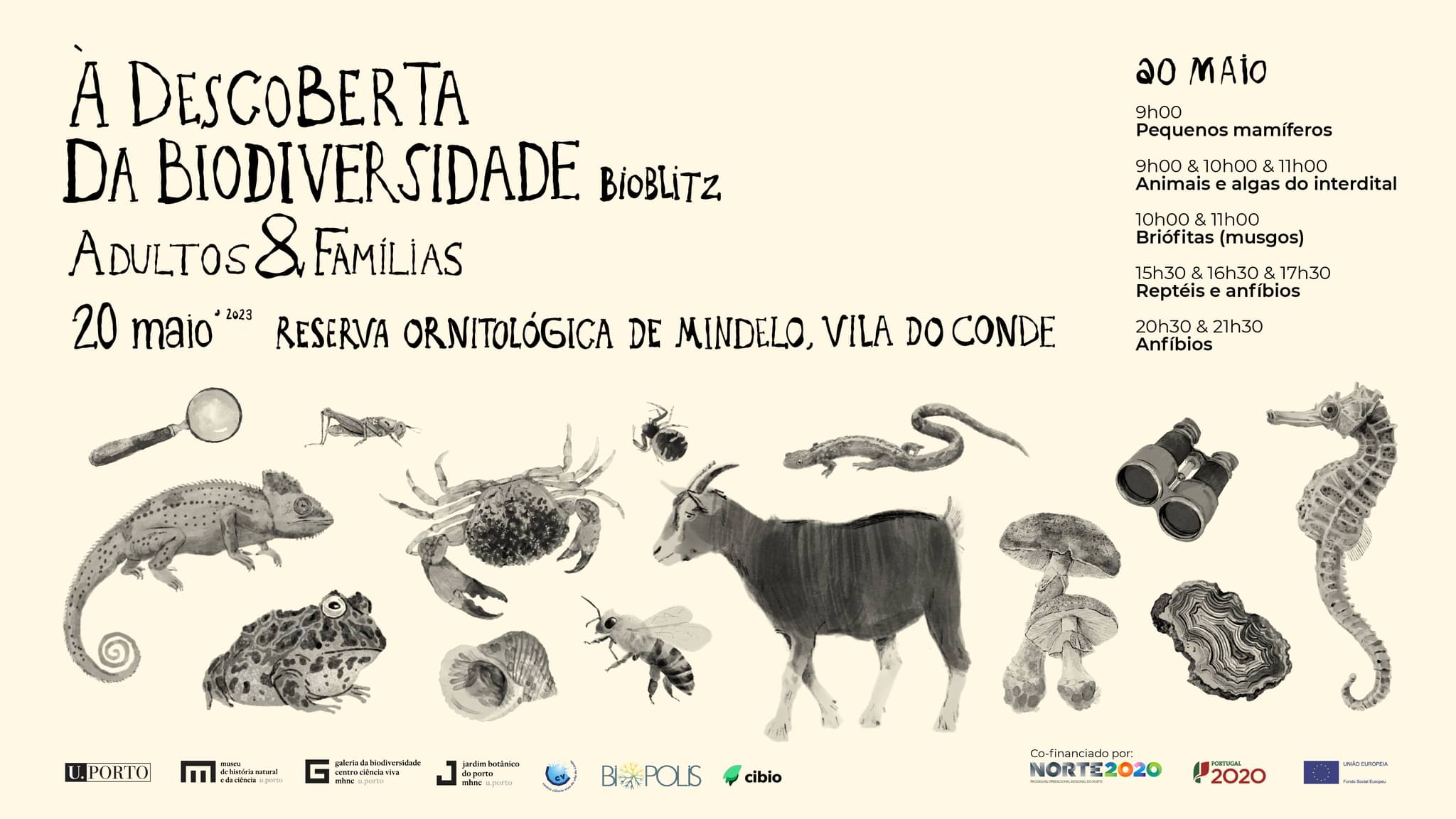À Descoberta da Biodiversidade: BioBlitz na Reserva Ornitológica de Mindelo - Adultos e famílias