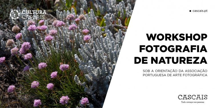 WORKSHOP DE FOTOGRAFIA DE NATUREZA Sob a orientação da Associação Portuguesa de Arte Fotográfica