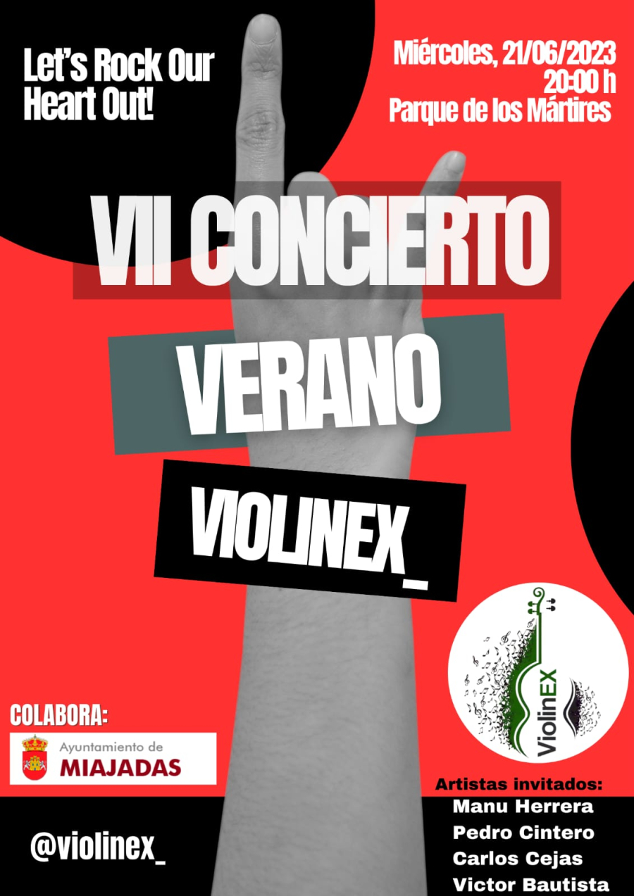 VII CONCIERTO VERANO VIOLENEX_