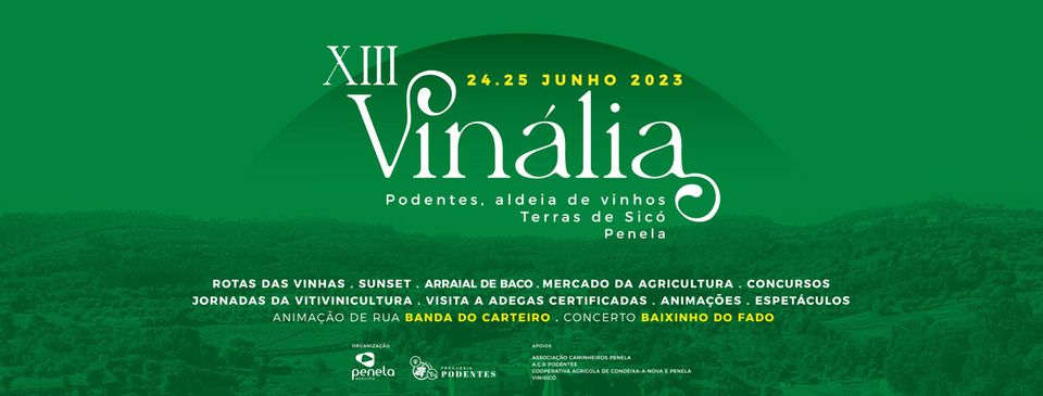 XIII Vinália 2023