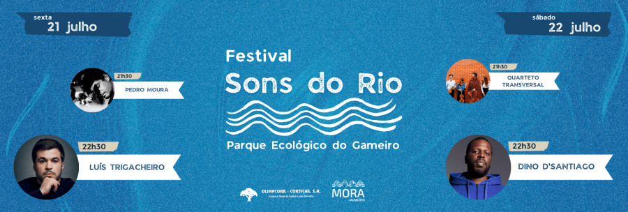 Festival Sons do Rio