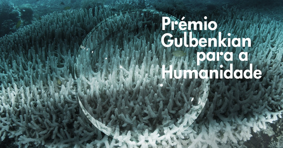 Cerimónia de entrega do Prémio Gulbenkian para a Humanidade