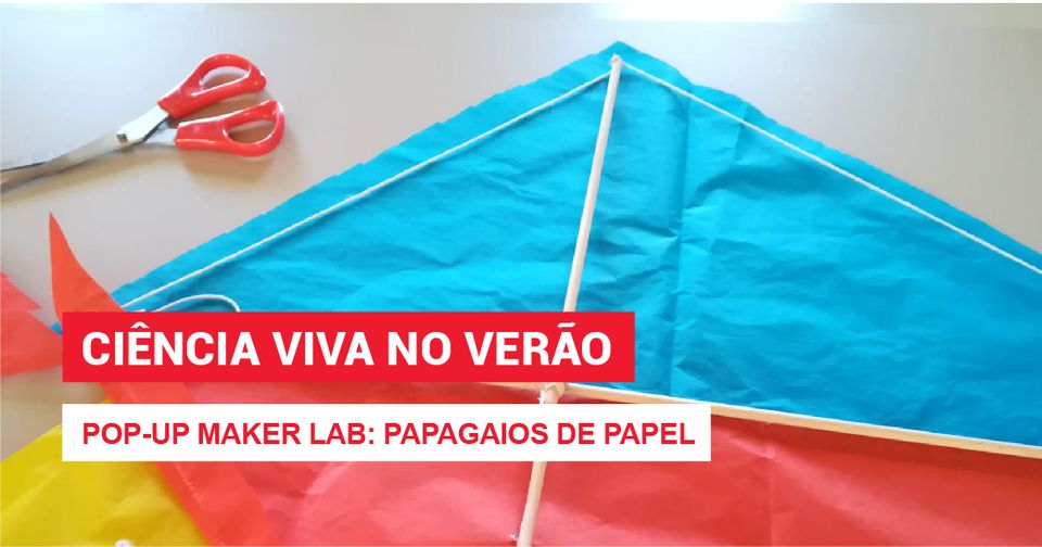 Pop-up Maker Lab: Papagaios de papel | Praia da Costa Nova