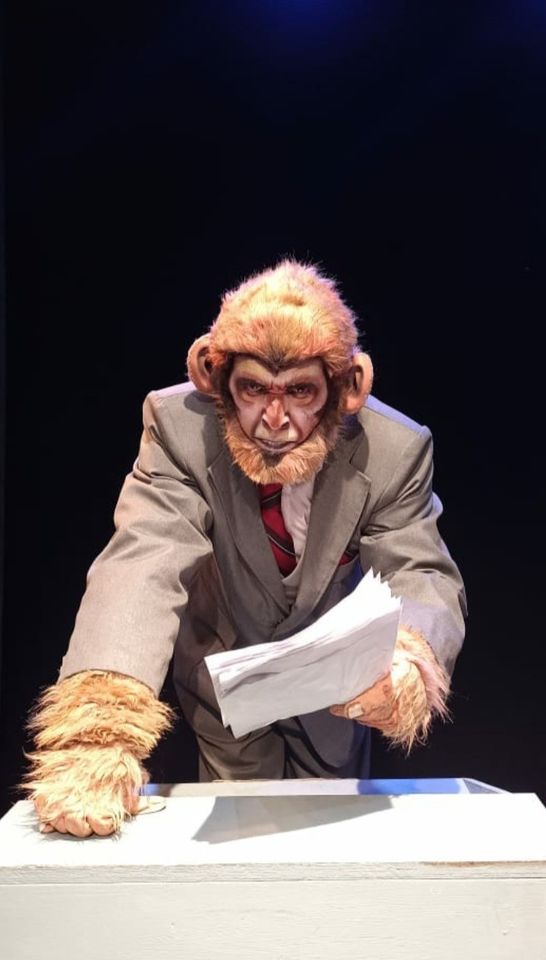 Primate... Informe para una Academia – Escenafísica
