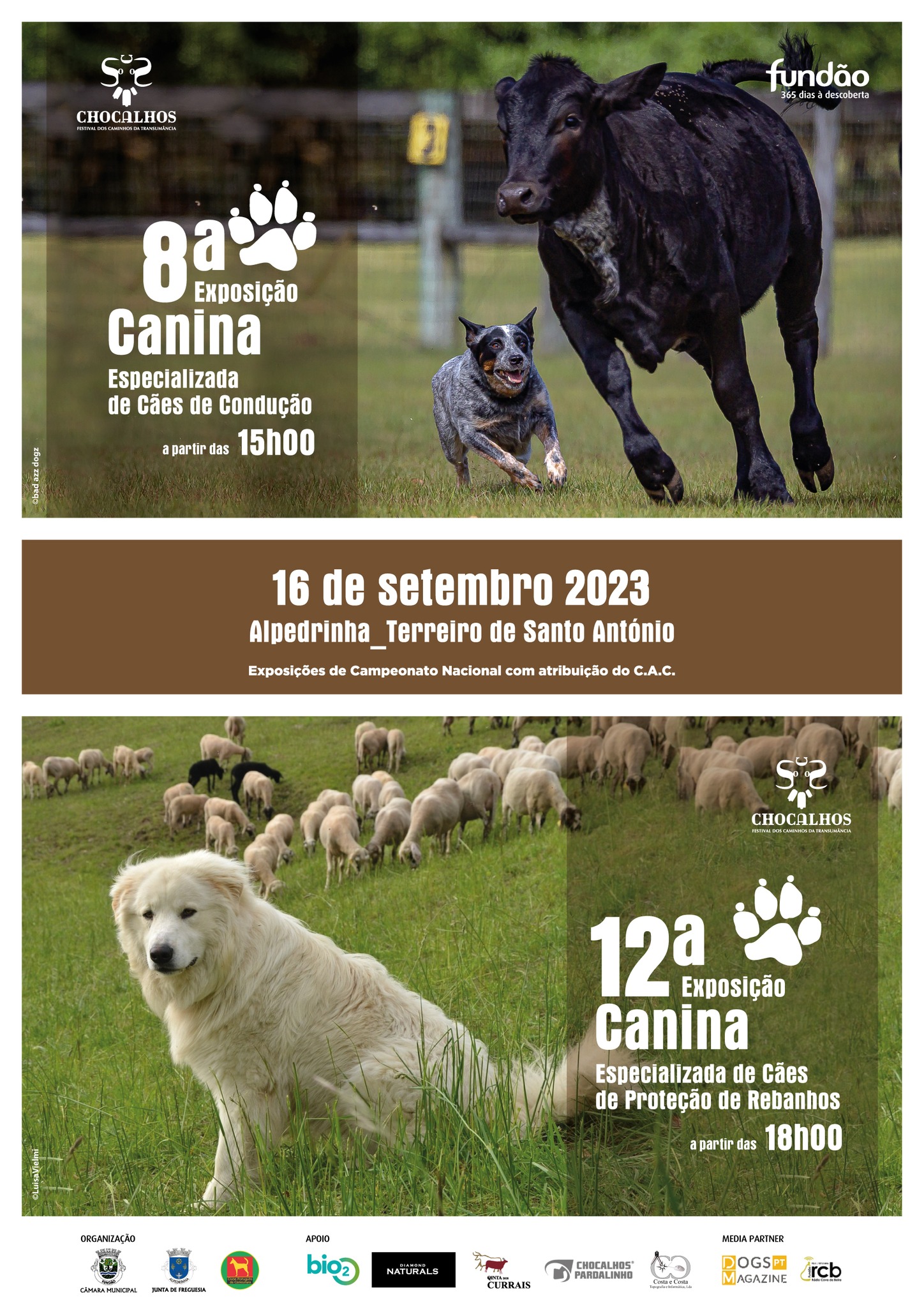 Exposições Caninas Especializadas | Chocalhos 2023