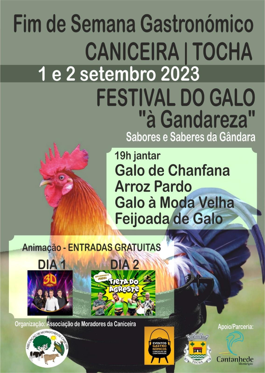 Festival do Galo à Gandareza