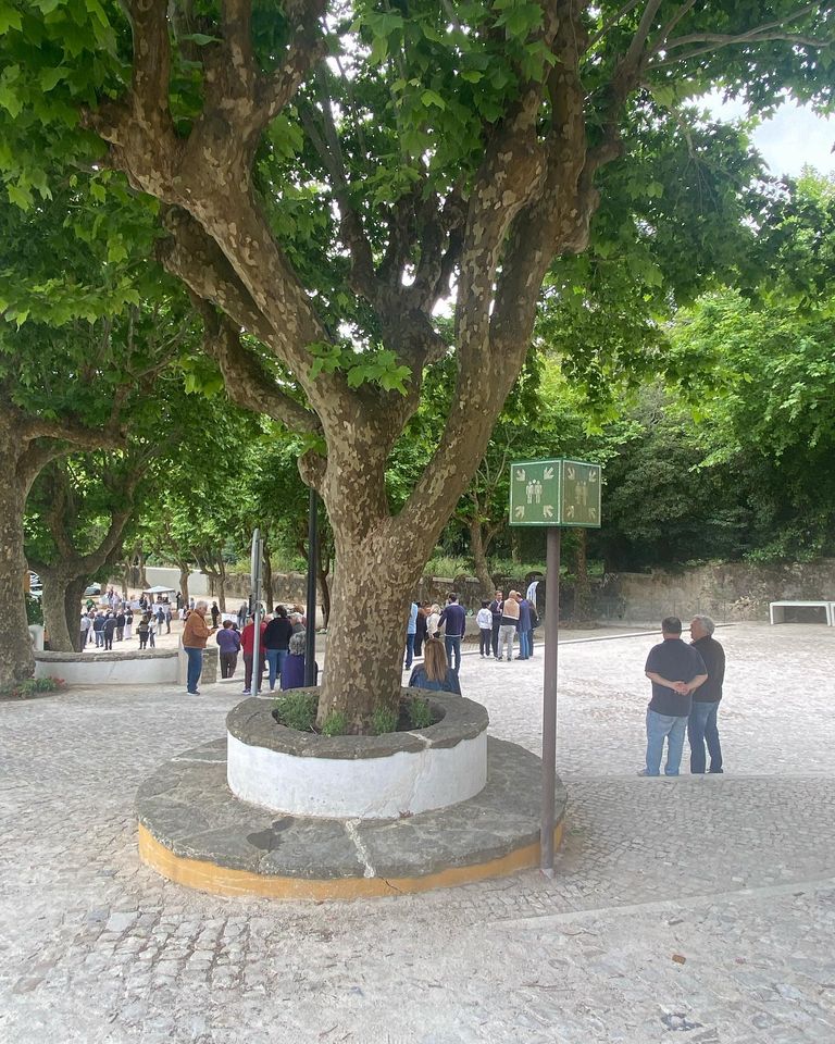 Feira da Bagageira em Sintra