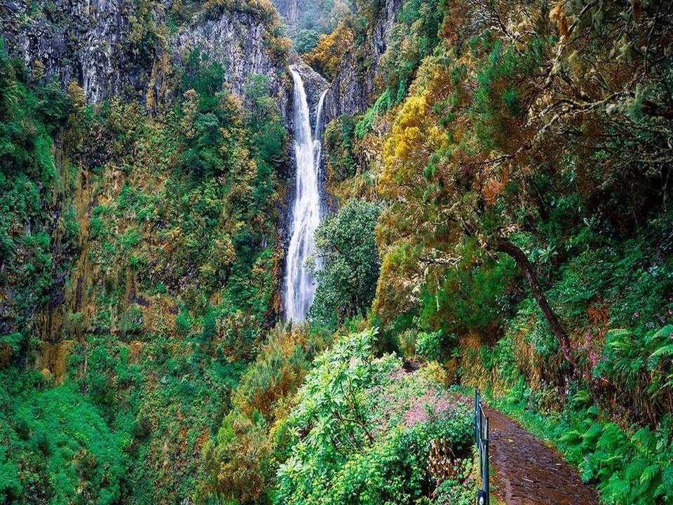 Caminhando em Levadas e Veredas da Madeira