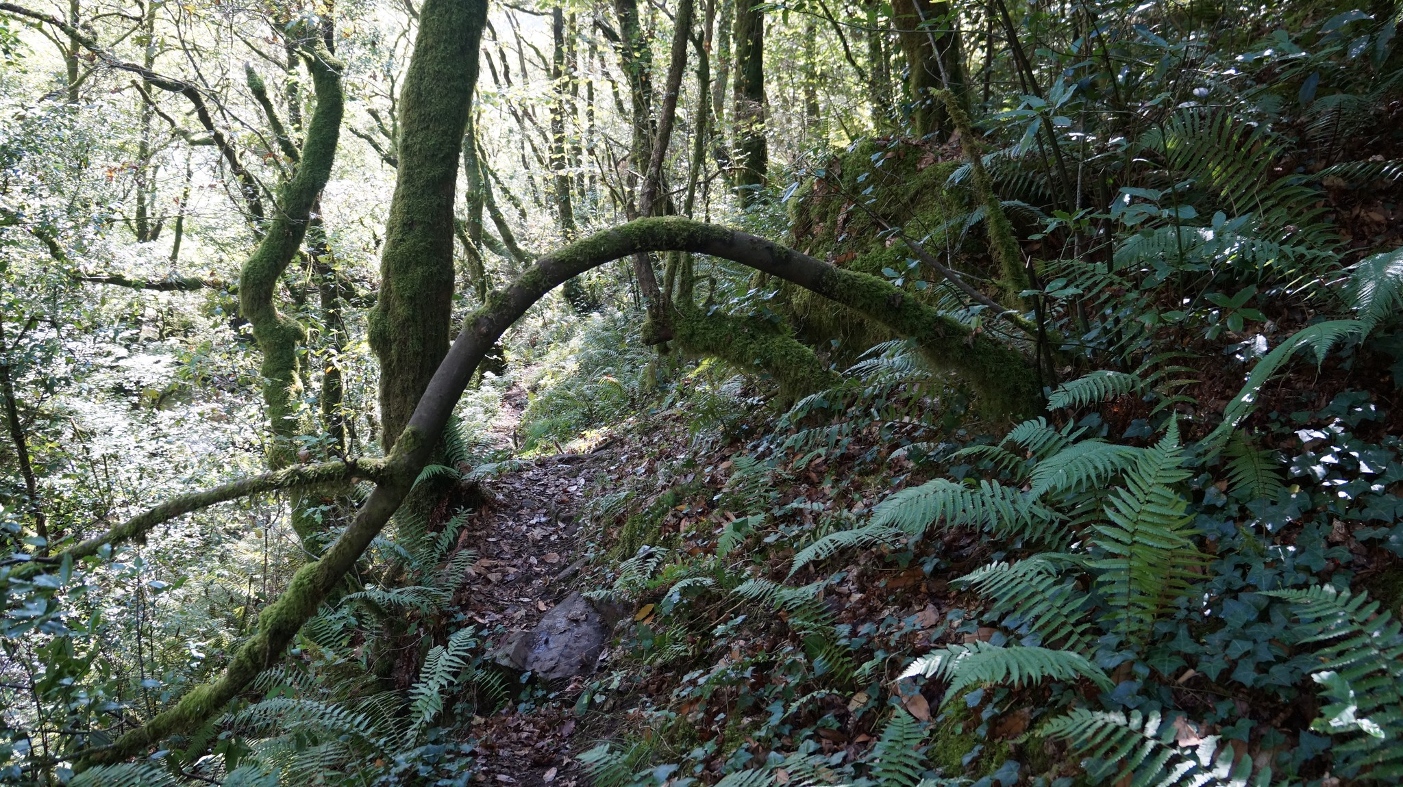 Ruta Tres Ríos - Sábado 23/9/23   