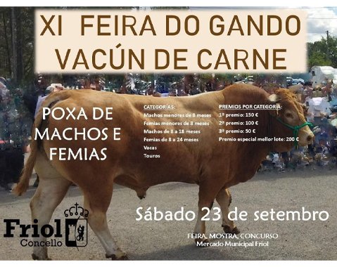 XI FEIRA DO GANDO VACÚN DE CARNE 2023