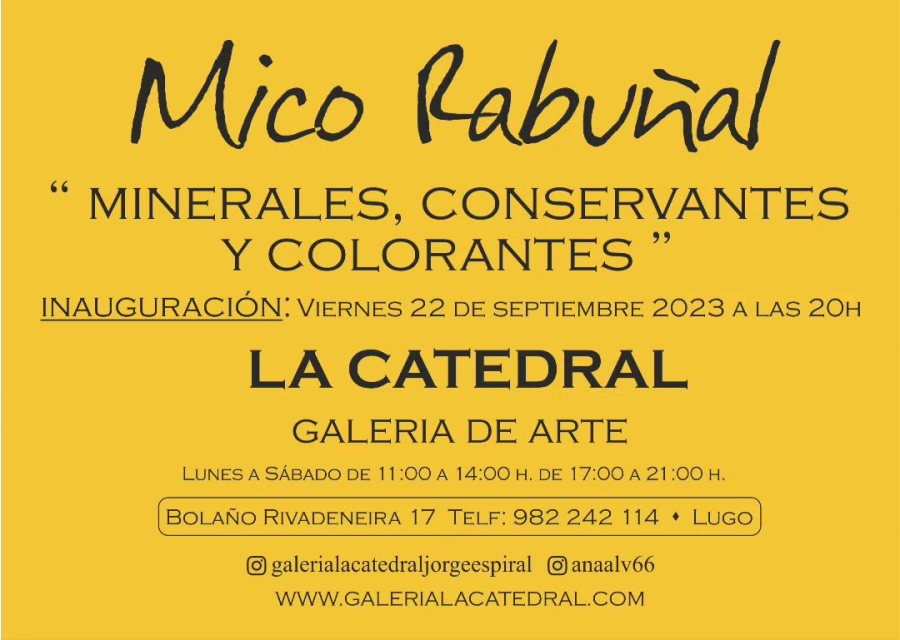 Inauguración da expo de Mico Rabuñal