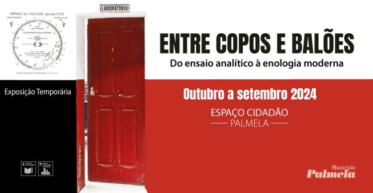 'ENTRE COPOS E BALÕES' - Exposição Temporária