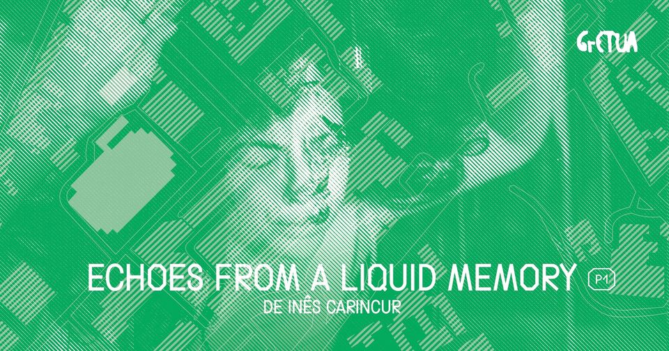 Echoes from a liquid memory, de Inês Carincur