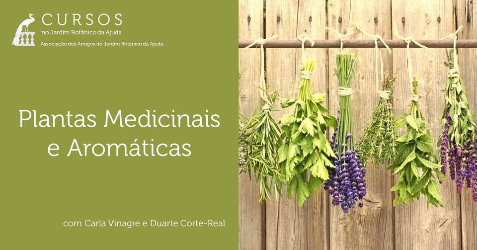 Plantas Medicinais e Aromáticas