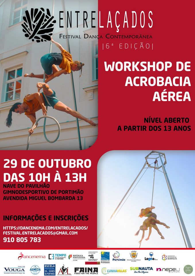 Workshop de Acrobacia Aérea - Cia Dépaso