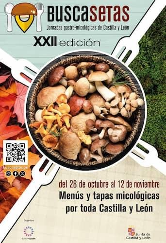 XXII Jornadas Gastronómicas de las Setas de Castilla y León....