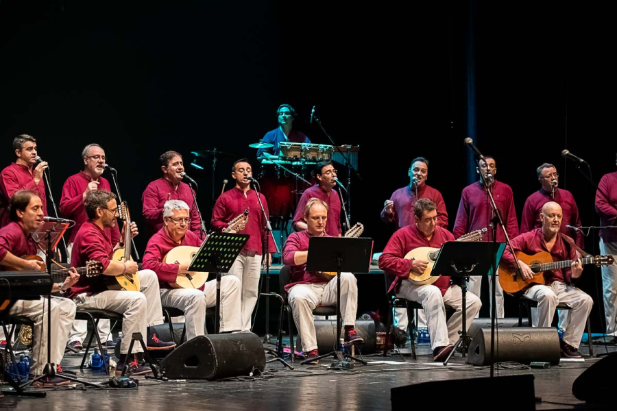 Furriones en concierto